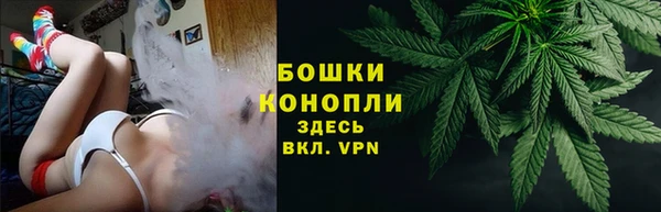 стаф Белоозёрский