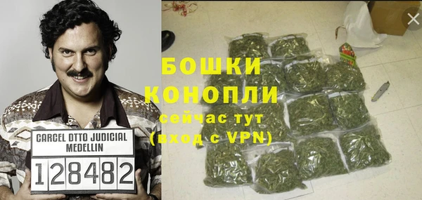 стаф Белоозёрский