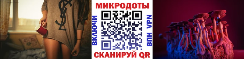 darknet как зайти  Брянск  Псилоцибиновые грибы мицелий 